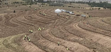 Kurdistan Regional Government Initiates Major Olive Tree Planting Project in Erbil
