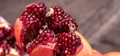 علماء: مادة في الرمان تدرأ مرض ألزهايمر؟!