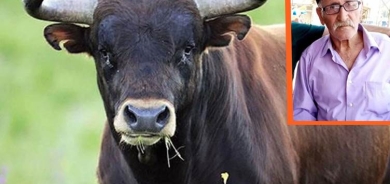 QERS – Çû daweta biraziyê xwe lê gayê cîranan ew kuşt!