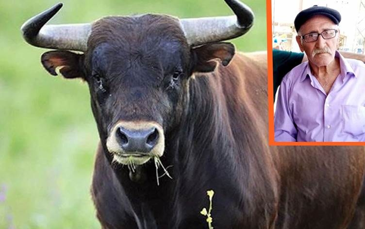 QERS – Çû daweta biraziyê xwe lê gayê cîranan ew kuşt!