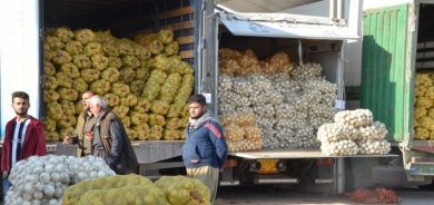 زراعة أربيل: نصدر حوالي 50 شاحنة خضار وفواكه إلى وسط وجنوب العراق يومياً