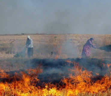 سووتاندنی بەربڵاوی زەوییە کشتوکاڵییەکانی قامیشلۆ لەلایەن سوپای تورکیاوە