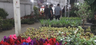 Sine mêvandariya pêşangeheke gul û kulîlkên Rojhilatê Kurdistanê û Îranê dike