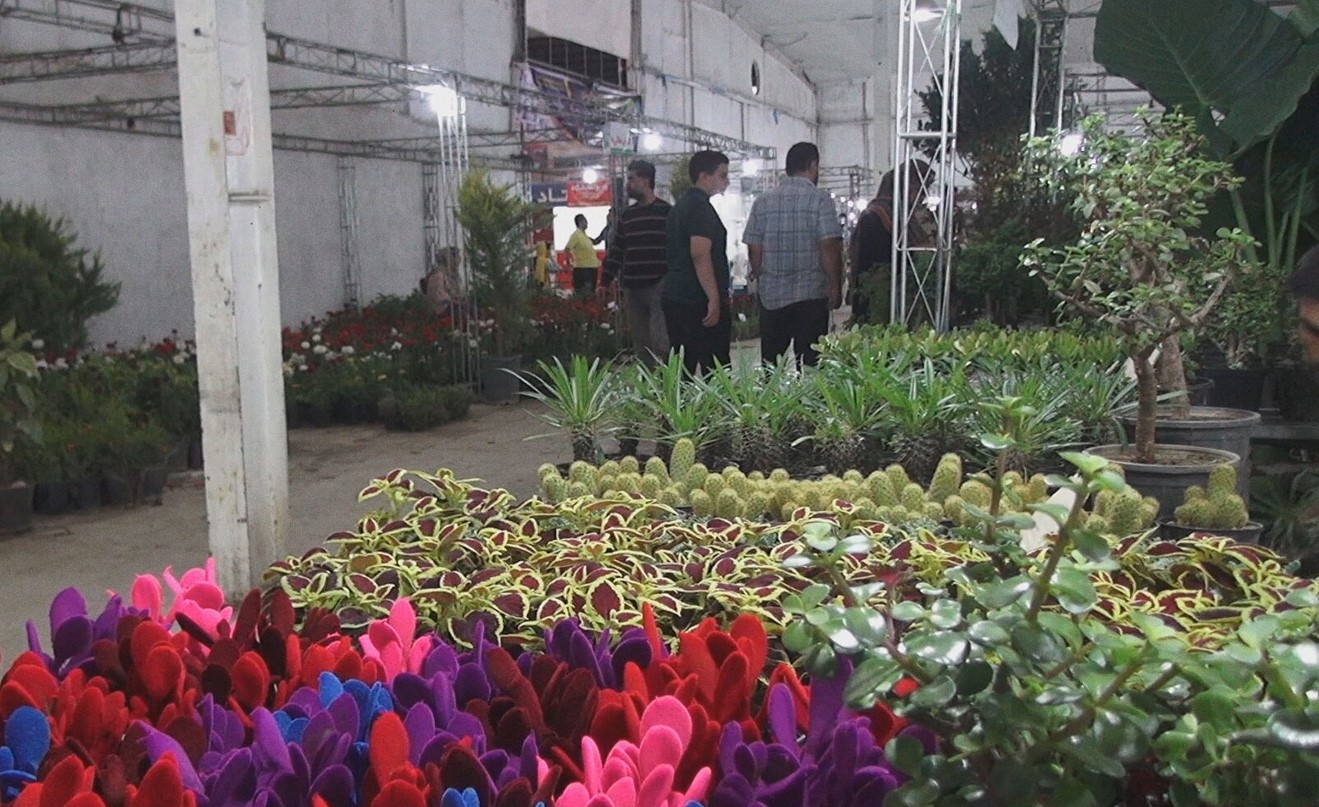 Sine mêvandariya pêşangeheke gul û kulîlkên Rojhilatê Kurdistanê û Îranê dike