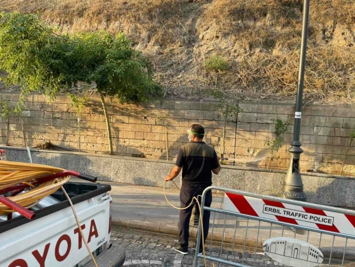 ظهور نوع مختلف من النمل حول قلعة أربيل.. والصحة تتدخل