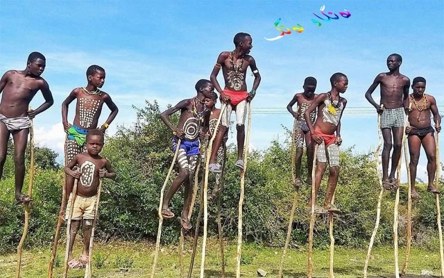 ڕۆیشتن و ژیان لەسەر دار