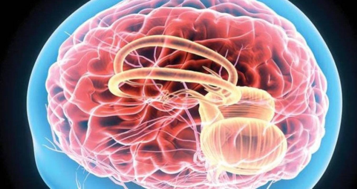 التمارين الرياضية أفضل من النوم لـ«تغذية» الدماغ... كيف يحصل ذلك؟