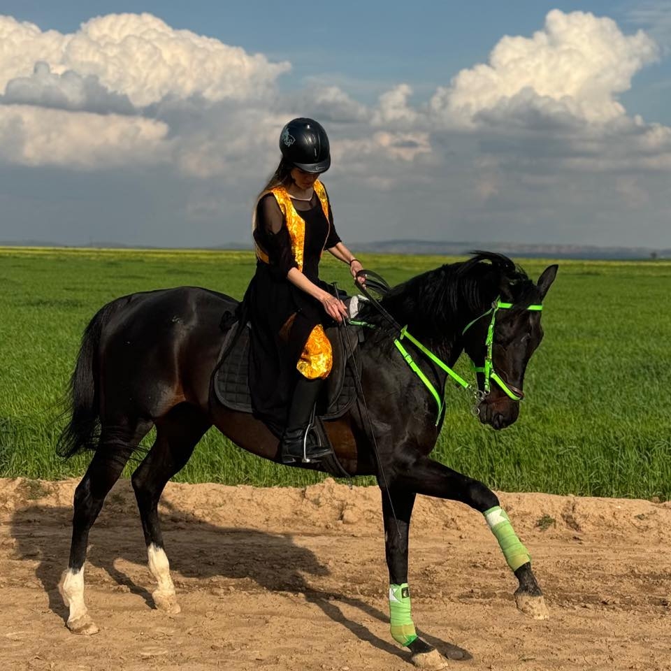 یاری ئەسپ سواری لە ئێستادا لە پێشكەوتن دایە