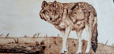 هونەری پیرۆگرافی