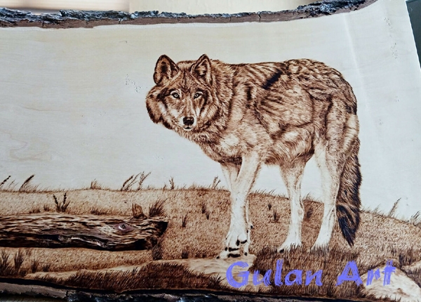 هونەری پیرۆگرافی