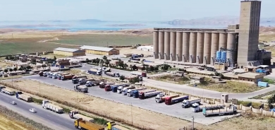 سيد مراد: سيتم استلام 228 ألف طن من قمح مزارعي أربيل