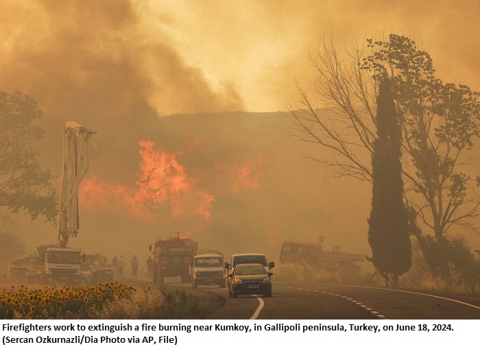 Death Toll Rises to 12 in Devastating Forest Fire in Southeastern Turkey