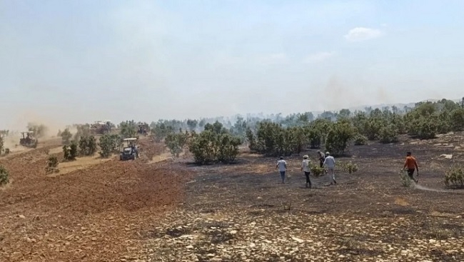 13 kes ji ber şewata mezin canê xwe ji dest dan