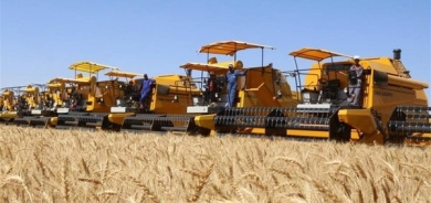 زراعة كوردستان: شركتان ستشتريان فائض القمح من المزارعين