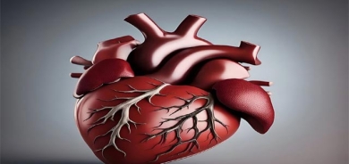 چۆن خۆت لە نەخۆشیی دڵ و خوێنبەرەكان دەپارێزیت؟