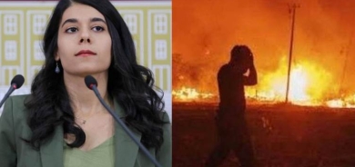 Berîtan Guneş: Dema mijar canê Kurdan be tenê balafirên şer difirin