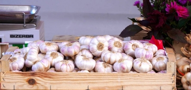 الثوم... مكون سحري لخفض نسبة السكر والكوليسترول في الدم