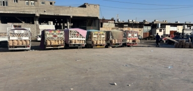 تسويق اكثر من 250 الف طن من الفواكه والخضار من كوردستان الى وسط وجنوب العراق منذ بداية العام