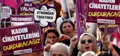 Alî Yerlîkaya: 221 jinan ji ber tundûtûjiyê canê xwe ji dest daye