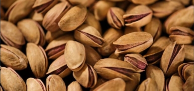 RIHA – Îsal bi 96 milyon dolaran fistiq hatin hinartin