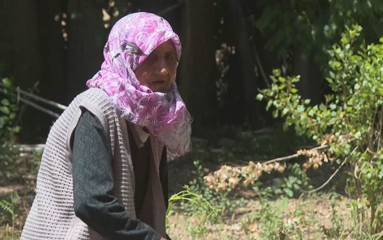 XARPÊT- Jina 114 salî li hêviya destên alîkariyê ye