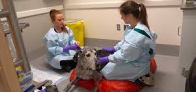 40 % من حالات الإصابة بالسرطان مرتبطة بسلوكيات المرضى