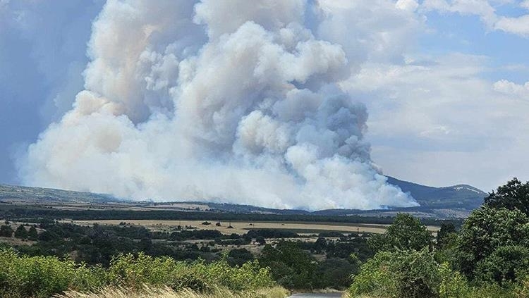 ئاگرکەوتنەوە لە دارستانەکان لەسەر سنووری نێوان بولگاریا و تورکیا