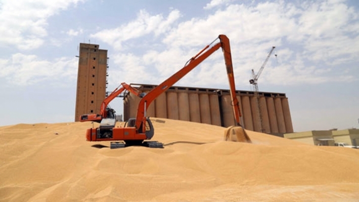 انتهاء عملية استلام القمح من مزارعي كوردستان