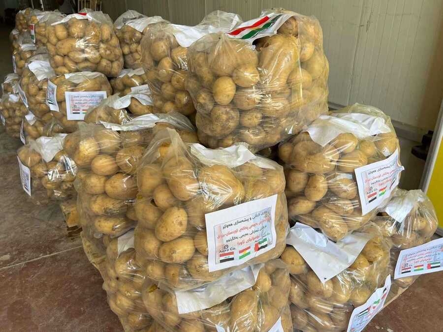 Henarde kirina petatên Kurdistanê destpê kir