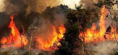 Şewata daristanên Loristanê didome