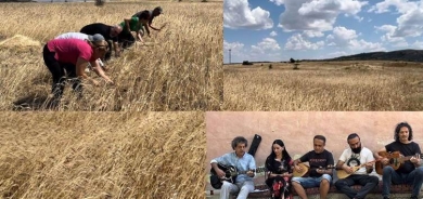 DÊRSIM - Bi beşdarbûna hunermend, cotkar û xelkê palehiya genimê xwezayî hat kirin