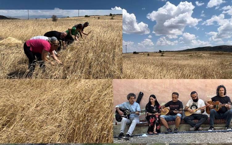 DÊRSIM - Bi beşdarbûna hunermend, cotkar û xelkê palehiya genimê xwezayî hat kirin