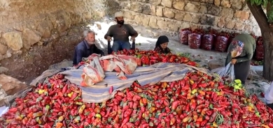 Cotkarên Efrînê bi gilî ne: Rê tune ne ku berhemên me bigihin bazarên derveyî herêmê