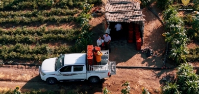 دعم حكومة كوردستان للمزارعين يساهم في زيادة إنتاج المحاصيل الزراعية