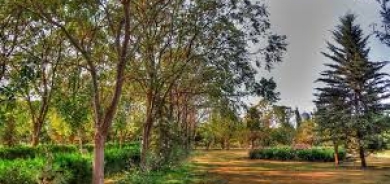 ناشطون بيئيون يحذرون من خطورة تفاقم تلوث الهواء في كوردستان