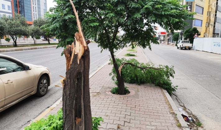 تتجاوز سرعتها 60 كم/ساعة.. تحذيرات من رياح عاتية في هذه المناطق من اقليم كوردستان