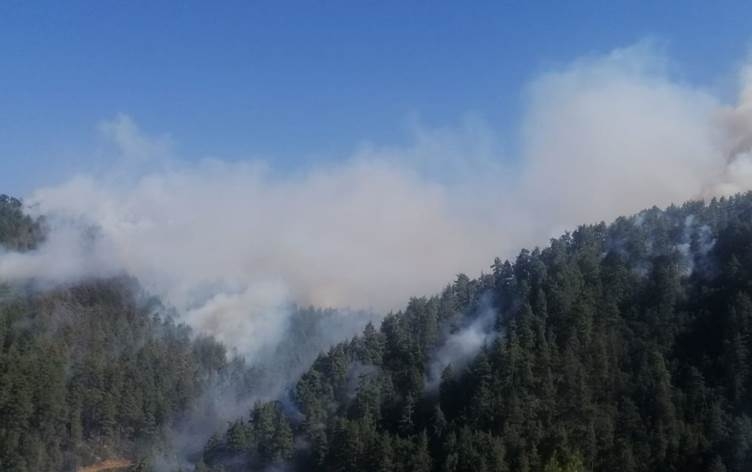 Li Mereşê agir bi daristanê ket