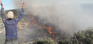 3 partiyên Kurdî şewitandina daran û binpêkirinên mafên mirovan li Efrînê şermezar dikin