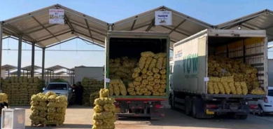 زراعة أربيل: تصدير اكثر من 400 الف طن من الفواكه والخضروات الى وسط وجنوب العراق