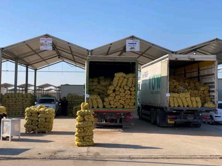 زراعة أربيل: تصدير اكثر من 400 الف طن من الفواكه والخضروات الى وسط وجنوب العراق