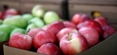 دراسة: غسل الفاكهة لا يزيل آثار المبيدات الحشرية