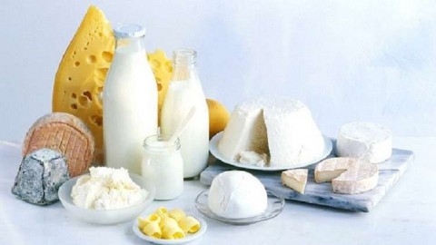 جدل حولها... ما هي حصة الألبان المفيدة للإنسان؟