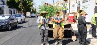 انطلاق حملة توزيع الأشجار على المنازل مجاناً في العاصمة أربيل
