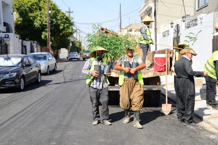 انطلاق حملة توزيع الأشجار على المنازل مجاناً في العاصمة أربيل