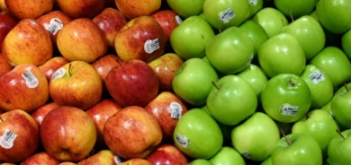 الأخضر أم الأصفر أم الأحمر... ما التفاح الأفضل صحياً؟