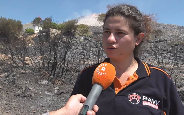 Şewatên daristanên Îzmîrê hatin temirandin: Zererên madî çêbûn