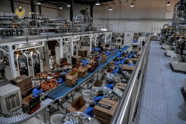 استثمار كوردستان: 40 مشروع استثماري جديد.. 15 منها في القطاع الصناعي