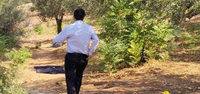 4 zarokên xwe dan ber guleyan: 3 kuştin