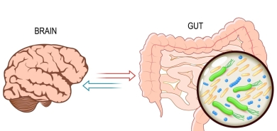 ميكروبات الأمعاء وتأثيراتها على الصحة العقلية