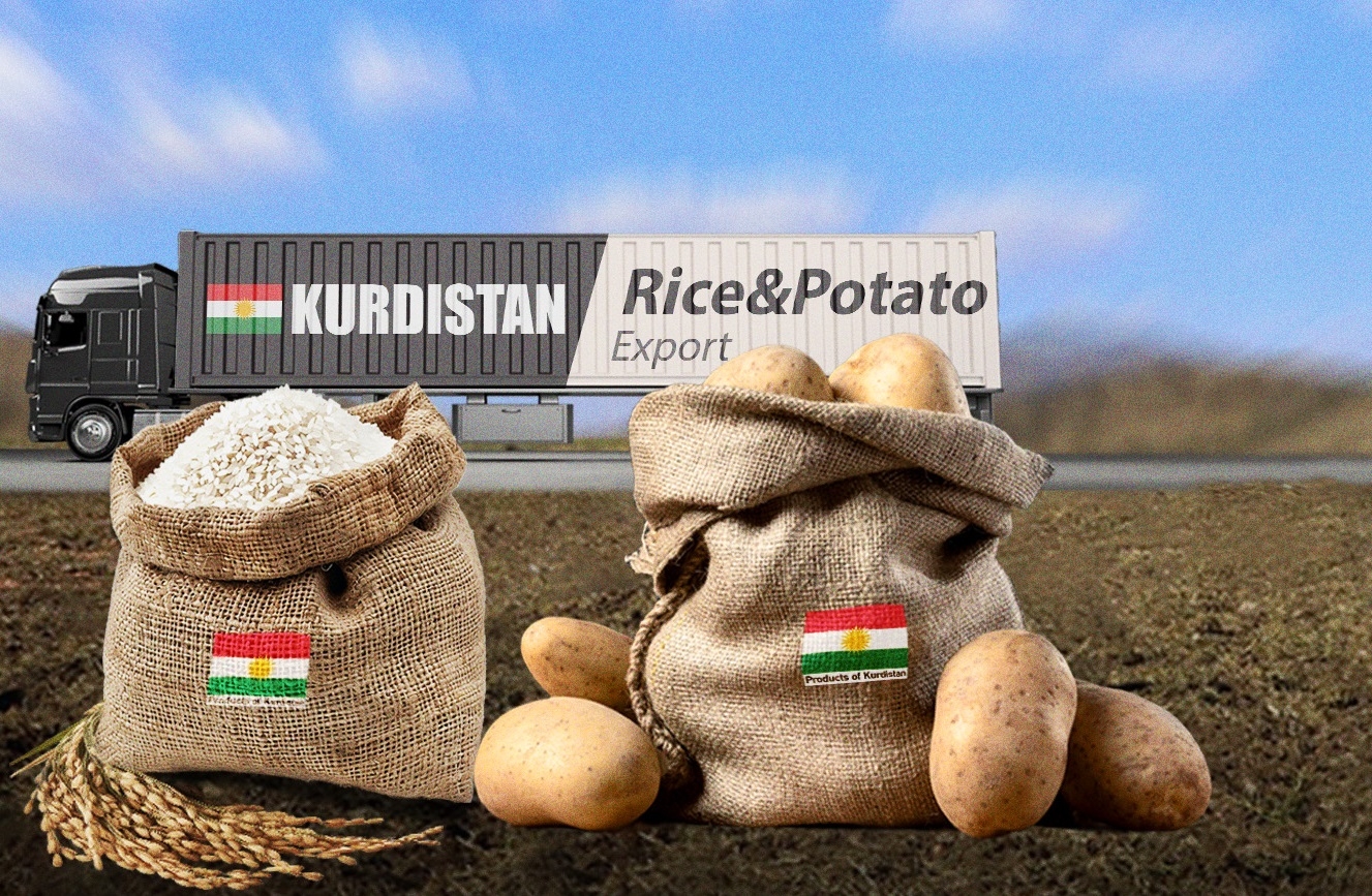 الأردن يخطط لاستيراد البطاطا والأرز من إقليم كوردستان: خطوات ملموسة نحو التبادل التجاري